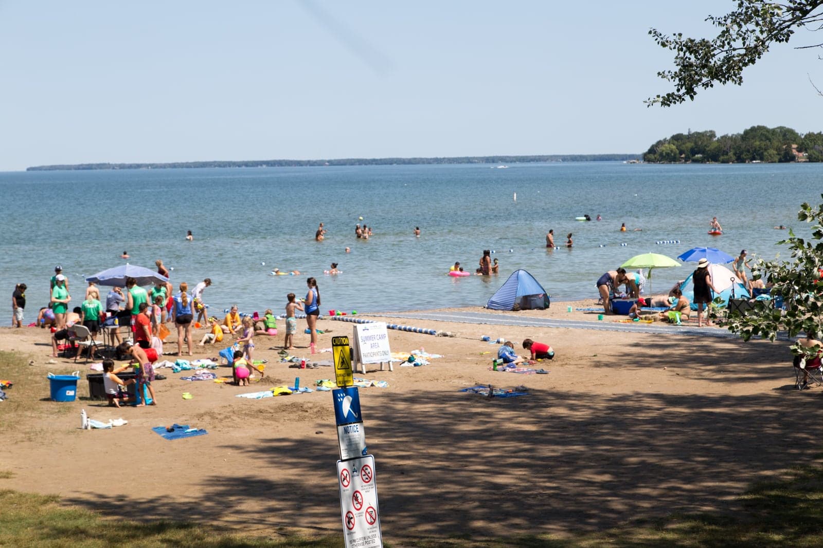 A busy summer afternoon at De La Salle Beach, with umbrellas, swimmers and families on the sand